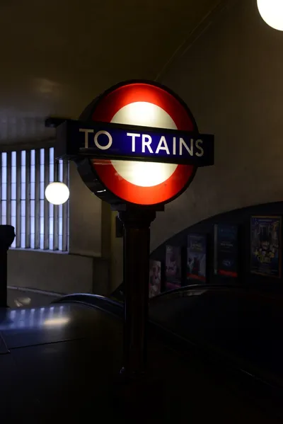 DSC_6169 (Large).JPG